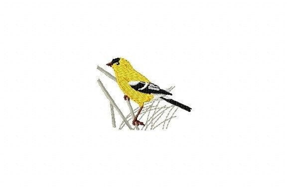 Bird on a Branch: A Designer’s Review for Boutique Apparel