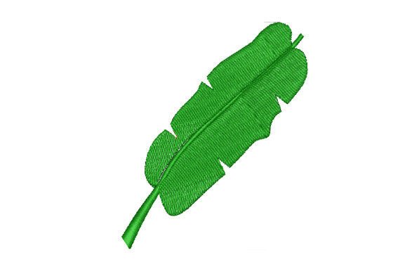 Green Banana Leaf: A Designer’s Review